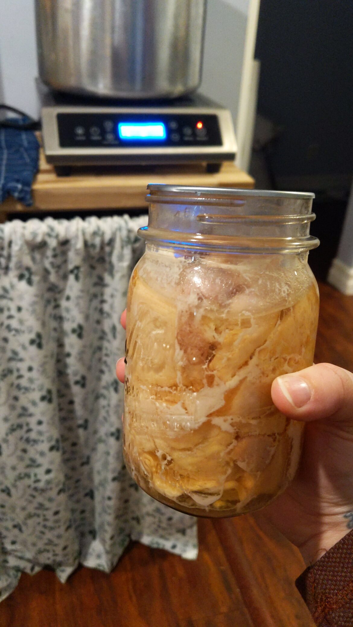 So proud of my jars of turkey! I ended up with 5 pints and 8 half pints. Turkey stock is currently bubbling away in the pressure canner!