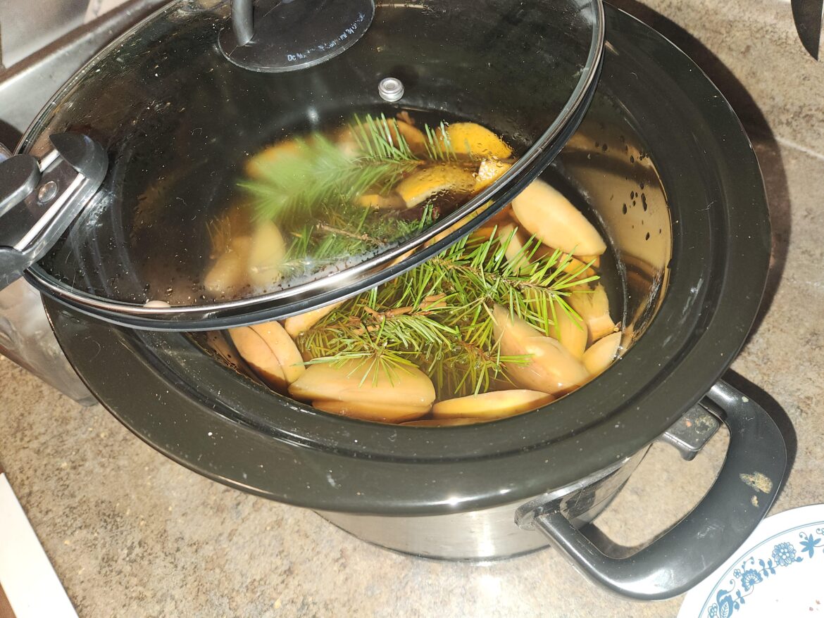 Slowcooker simmer pot