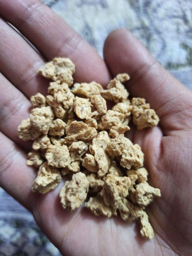 I discovered this at a nearby store, Are these soya chunks?