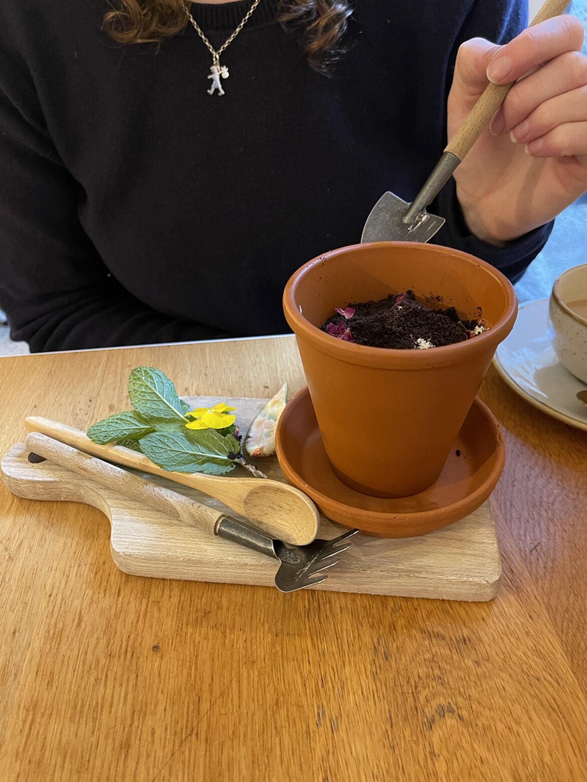 Mrs was served a cheesecake in a plant pot