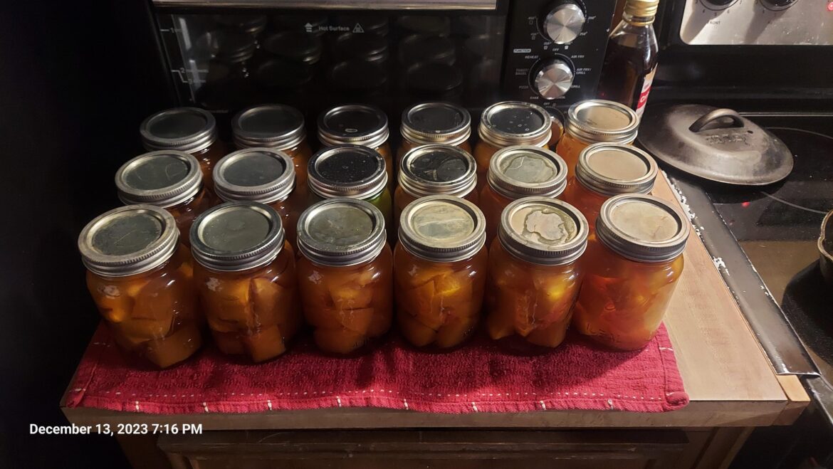 I was gifted a jack-o-lantern which I canned for my dog. Pumpkin is good for dogs and my girl has periodic stomach issues. A few cubes with dinner should help