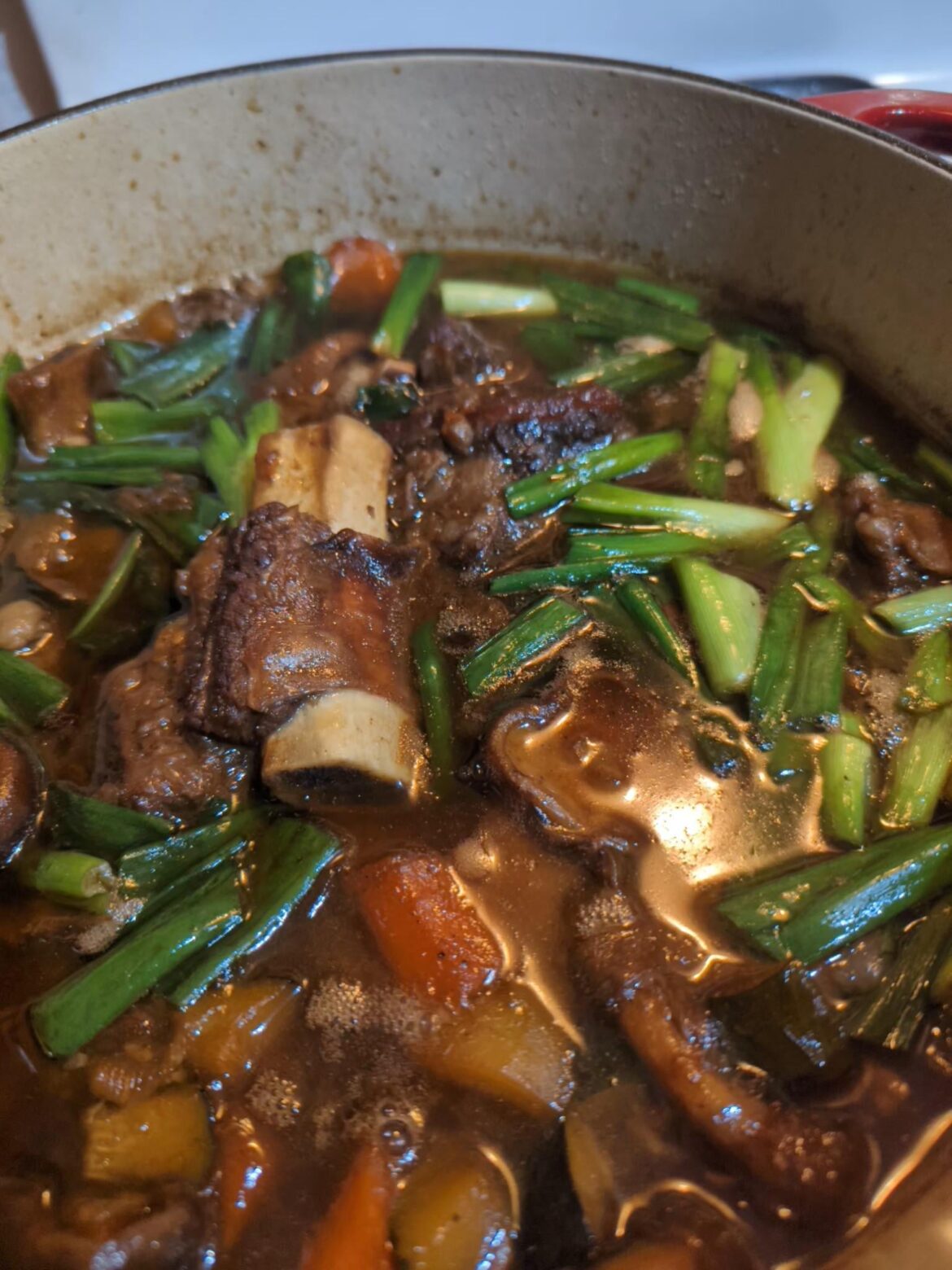 I saw really good short ribs so I made galbijim.