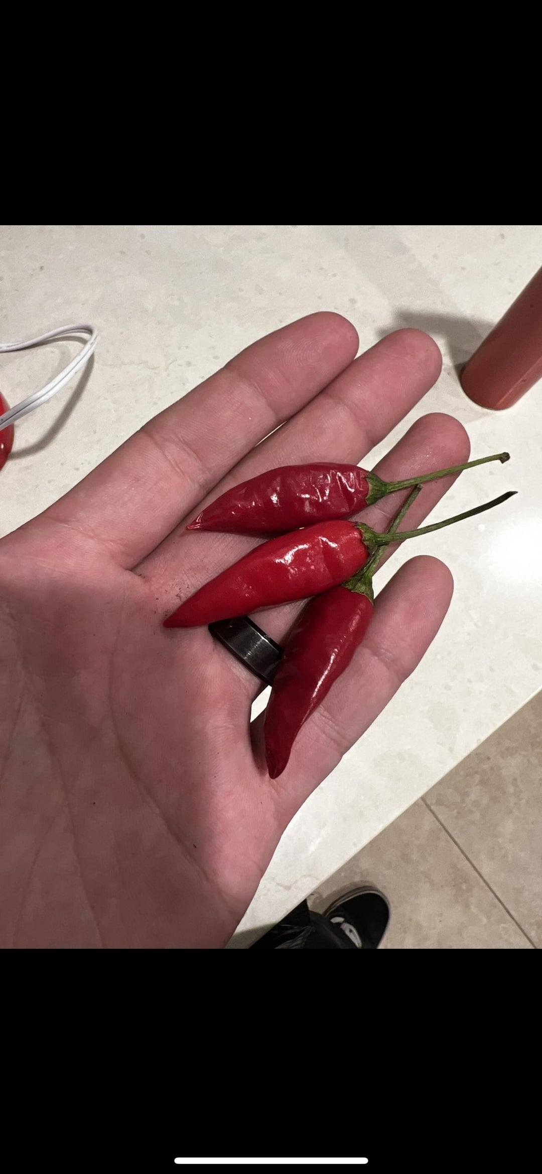 Help Identifying peppers from my coworker Dining and Cooking