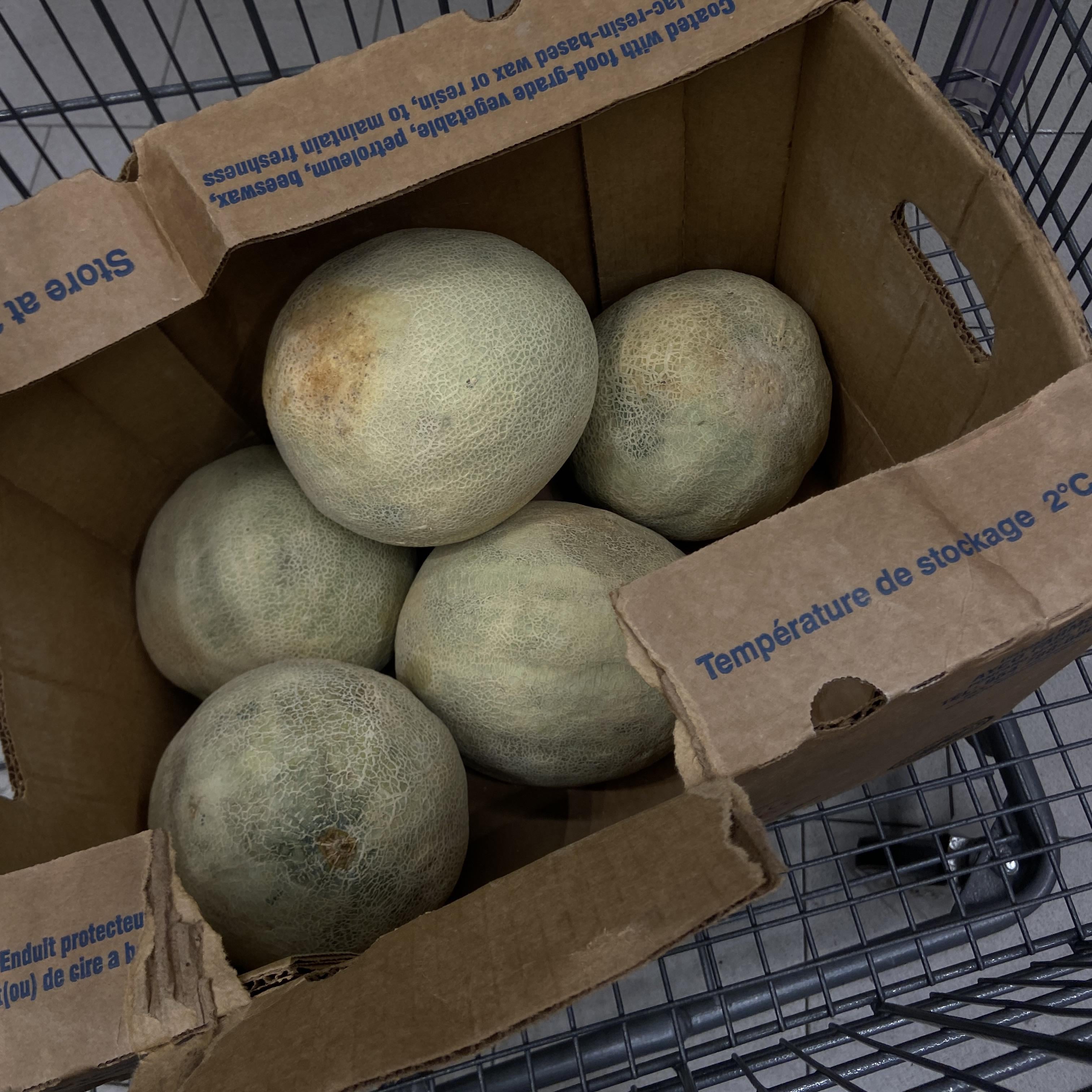 When cantaloupes are a dollar at Aldi. You capitalize! Dining and Cooking