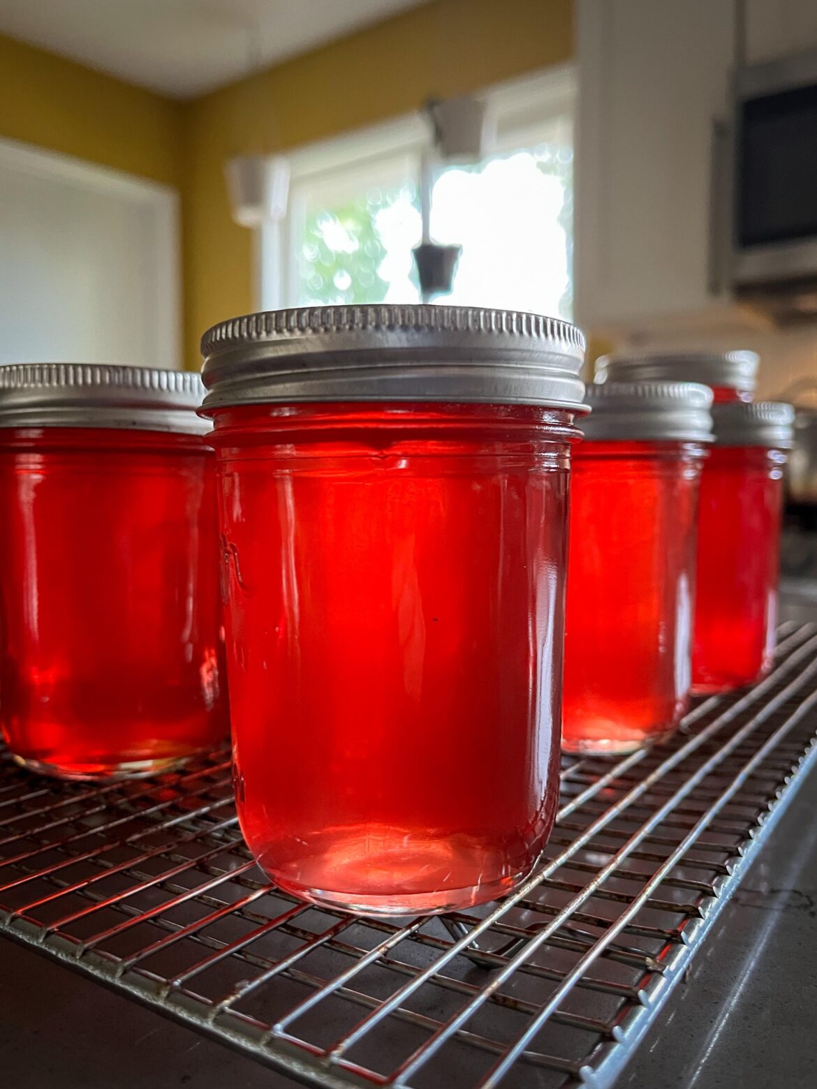 Made some apple jelly from scraps and I can’t get over the color