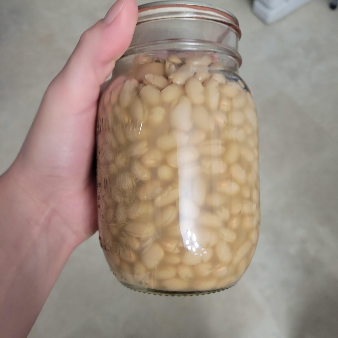 Canned navy beans