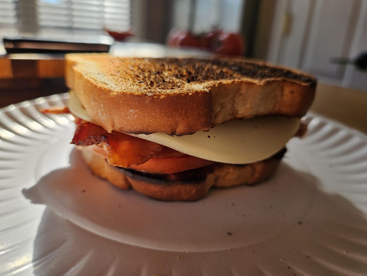 Back to basics with a toasty Bacon, Tomato, and Provolone.