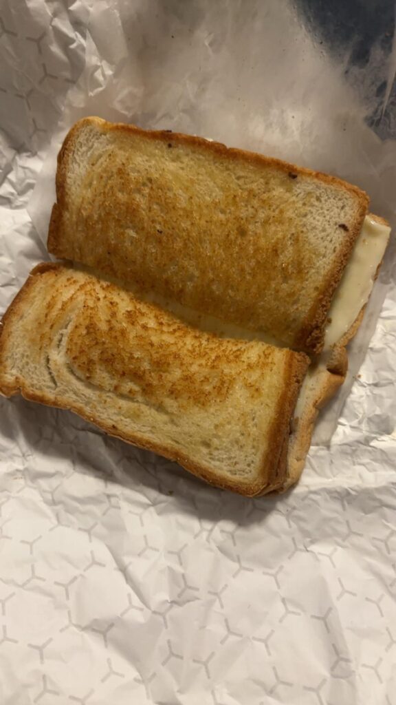grilled cheese and fries. the fries were filled all the way to the top