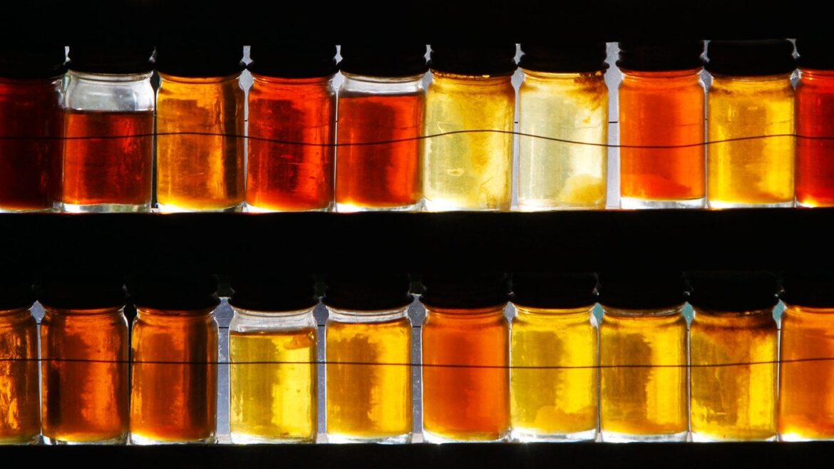 Maple syrup connection Maple syrup connection