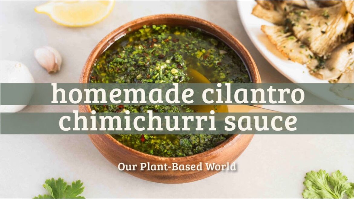 Best Homemade Cilantro Chimichurri Sauce Best Homemade Cilantro Chimichurri Sauce