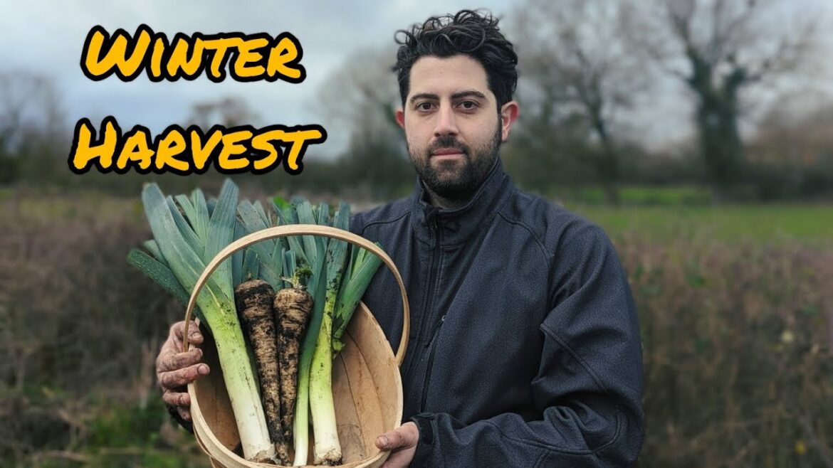 New Year Vegetable Gardening Begins With A Beautiful Harvest! New Year Vegetable Gardening Begins With A Beautiful Harvest!