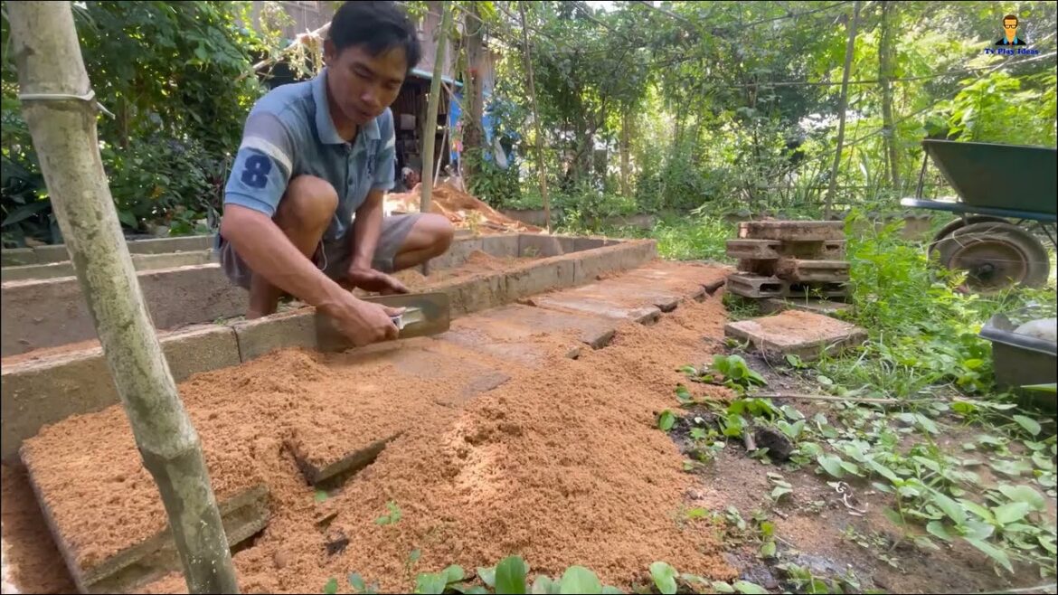 Build your own natural vegetable garden as a daily meal Build your own natural vegetable garden as a daily meal