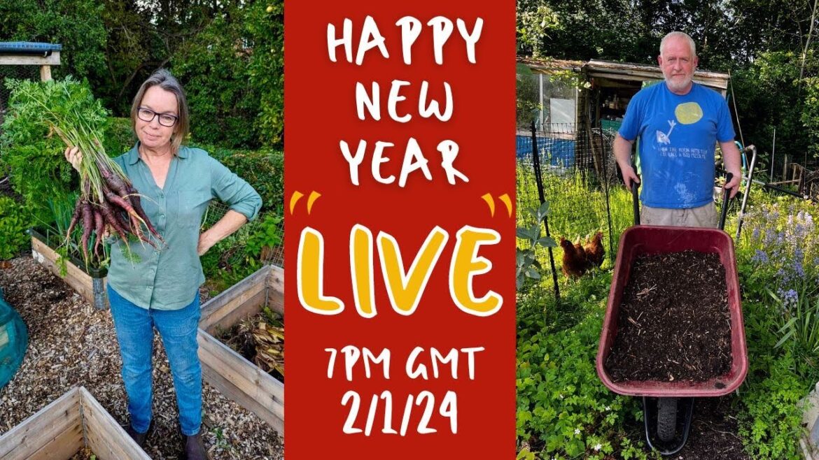 HAPPY NEW YEAR FROM MIKE AND JANE – LIVE! HAPPY NEW YEAR FROM MIKE AND JANE - LIVE!