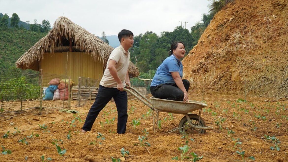 Buy vegetable seeds, plant vegetables, green a new garden. Buy vegetable seeds, plant vegetables, green a new garden.