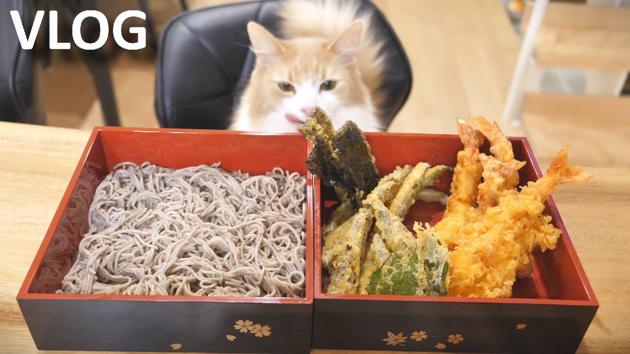 Japanese Tempura Soba Dining and Cooking