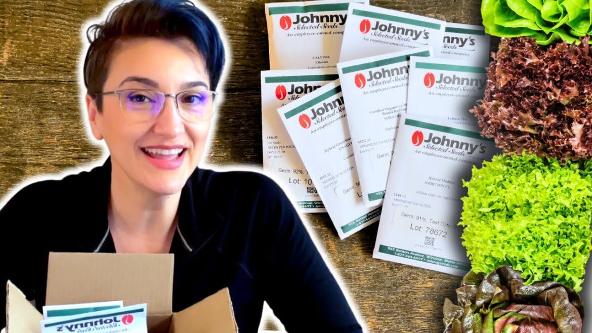 2024 VEGGIE GARDEN SEED HAUL! 2024 VEGGIE GARDEN SEED HAUL!