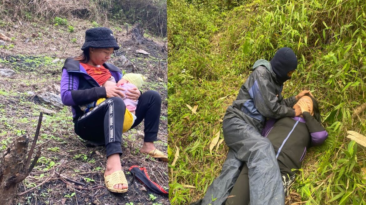 A single mother went to the forest to see the vegetable garden and was followed by bad guys A single mother went to the forest to see the vegetable garden and was followed by bad guys