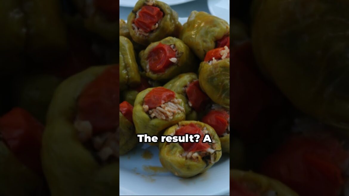 Turkish Dolma ( Stuffed Vegetable )