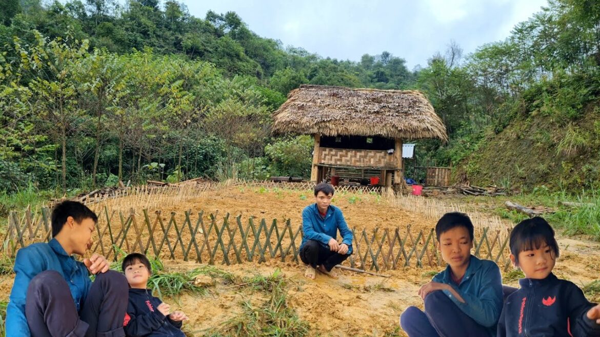 Gardening, growing clean vegetables, building a green life  Sùng A Mao Gardening, growing clean vegetables, building a green life  Sùng A Mao