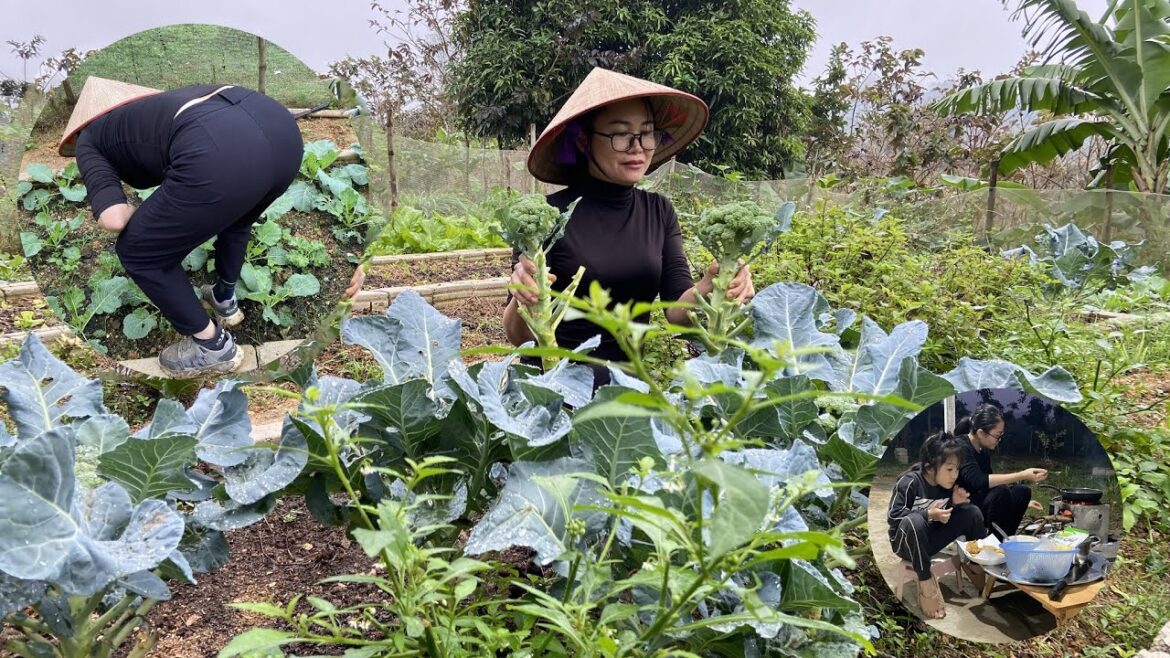 Taking care of the vegetable garden, cooking for the family, making banana cakes Taking care of the vegetable garden, cooking for the family, making banana cakes