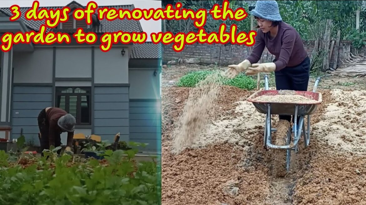 3 days of renovating garden space to grow vegetables – Countryside girl  #garden 3 days of renovating garden space to grow vegetables - Countryside girl  #garden