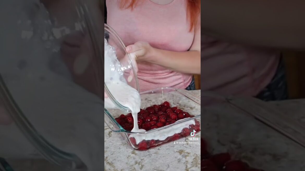 Part 3/3 $15 Budget Dollar Tree Date Night Appetizer, Dinner, & Dessert!