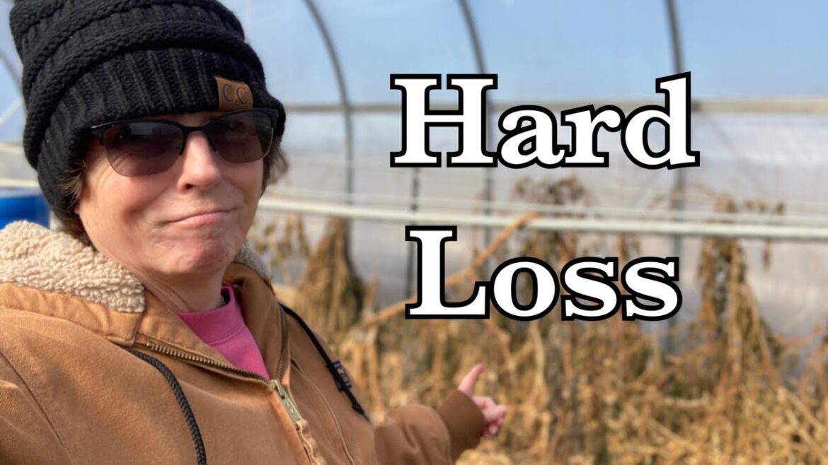 The Farm Was Hit Hard. Get these seeds started now! The Farm Was Hit Hard. Get these seeds started now!
