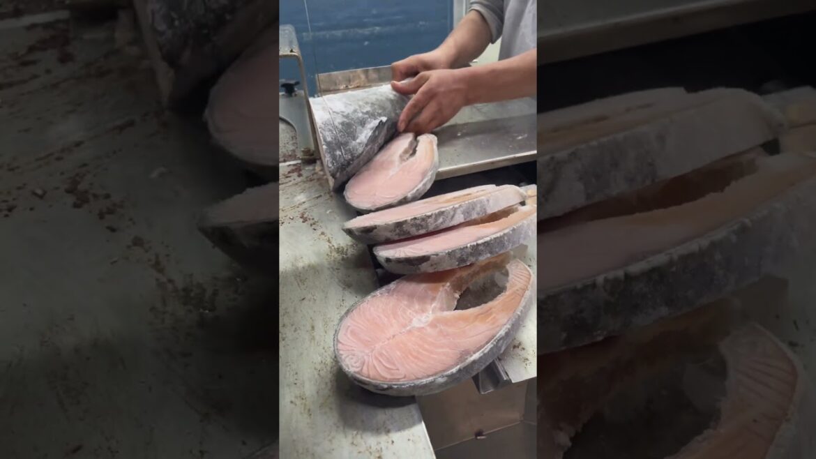 Salmon fish recipe, popular fish frozen salmon slice pices cut#shorts