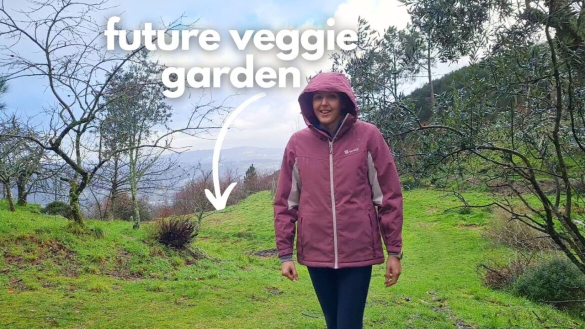 Planning Our Homestead Vegetable Garden Planning Our Homestead Vegetable Garden