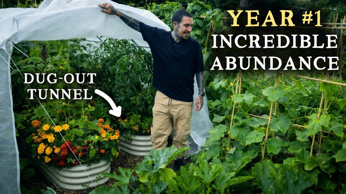 This Amazing Urban Vegetable Garden is ONLY 6 Months Old! This Amazing Urban Vegetable Garden is ONLY 6 Months Old!