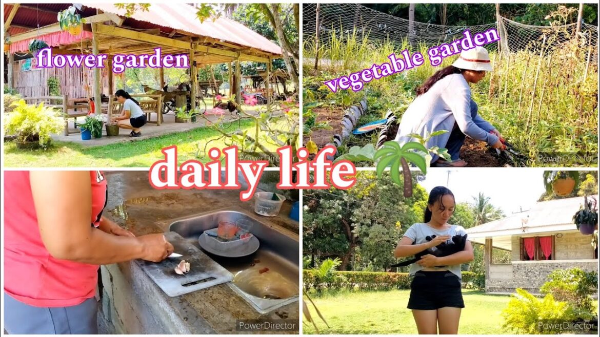flower and vegetable garden + daily life | country life in the Philippines flower and vegetable garden + daily life | country life in the Philippines