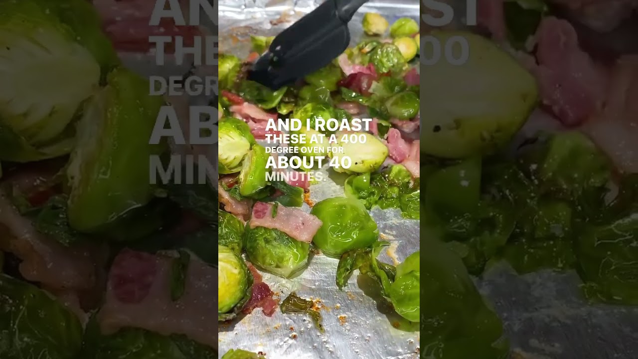 Brussels visual data 8