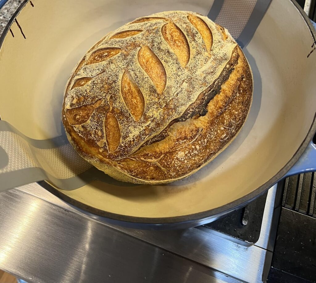 Sourdough question. Tough crust. See comments for details.