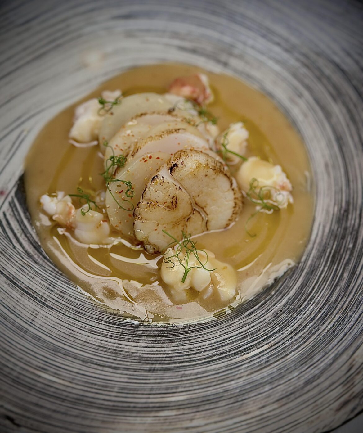 Torched Scallop , Harukei turnip, Lobster knuckle, lobster kosho velouté, Yuzu oil