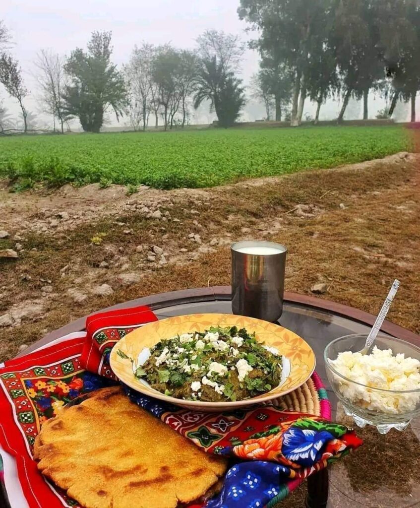 [i ate] This traditional food of winter in Punjab, Pakistan. It includes buttermilk, corn flat bread. A dish made from leafy vegs called "Saag" Enriched with butter.