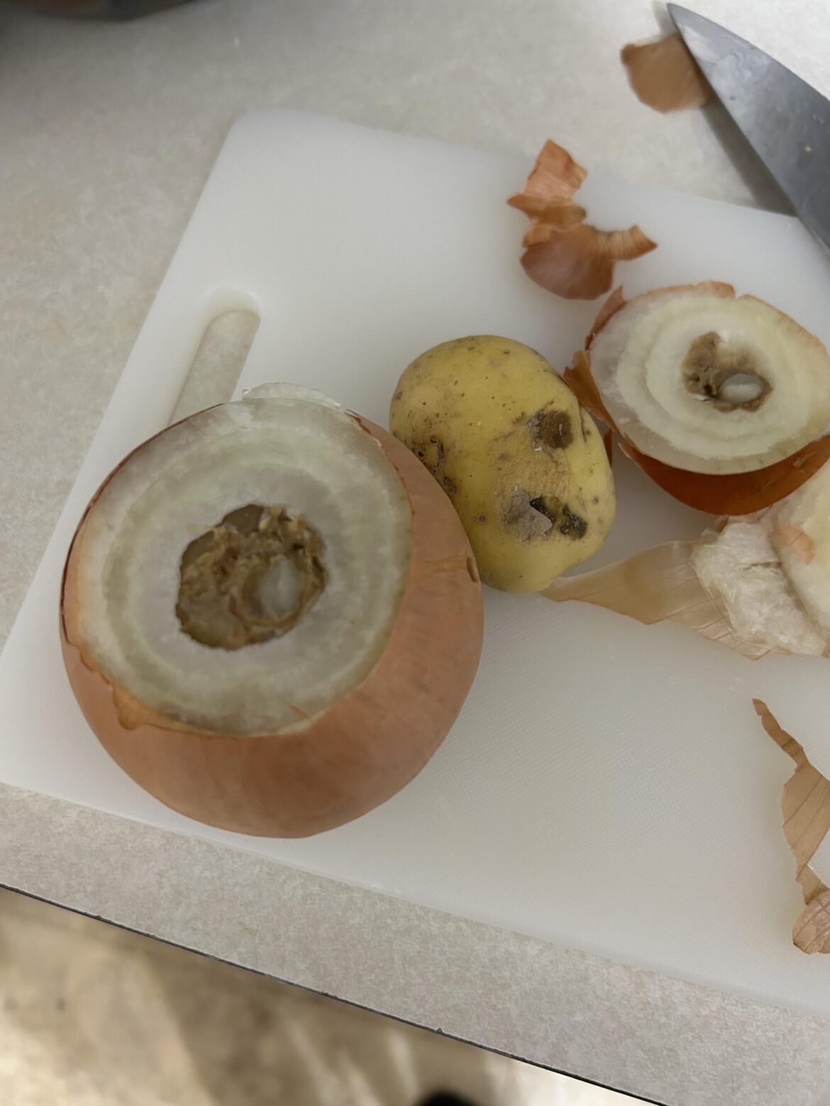 Hello Fresh quality has done nothing but go straight down. This was delivered to me last night.