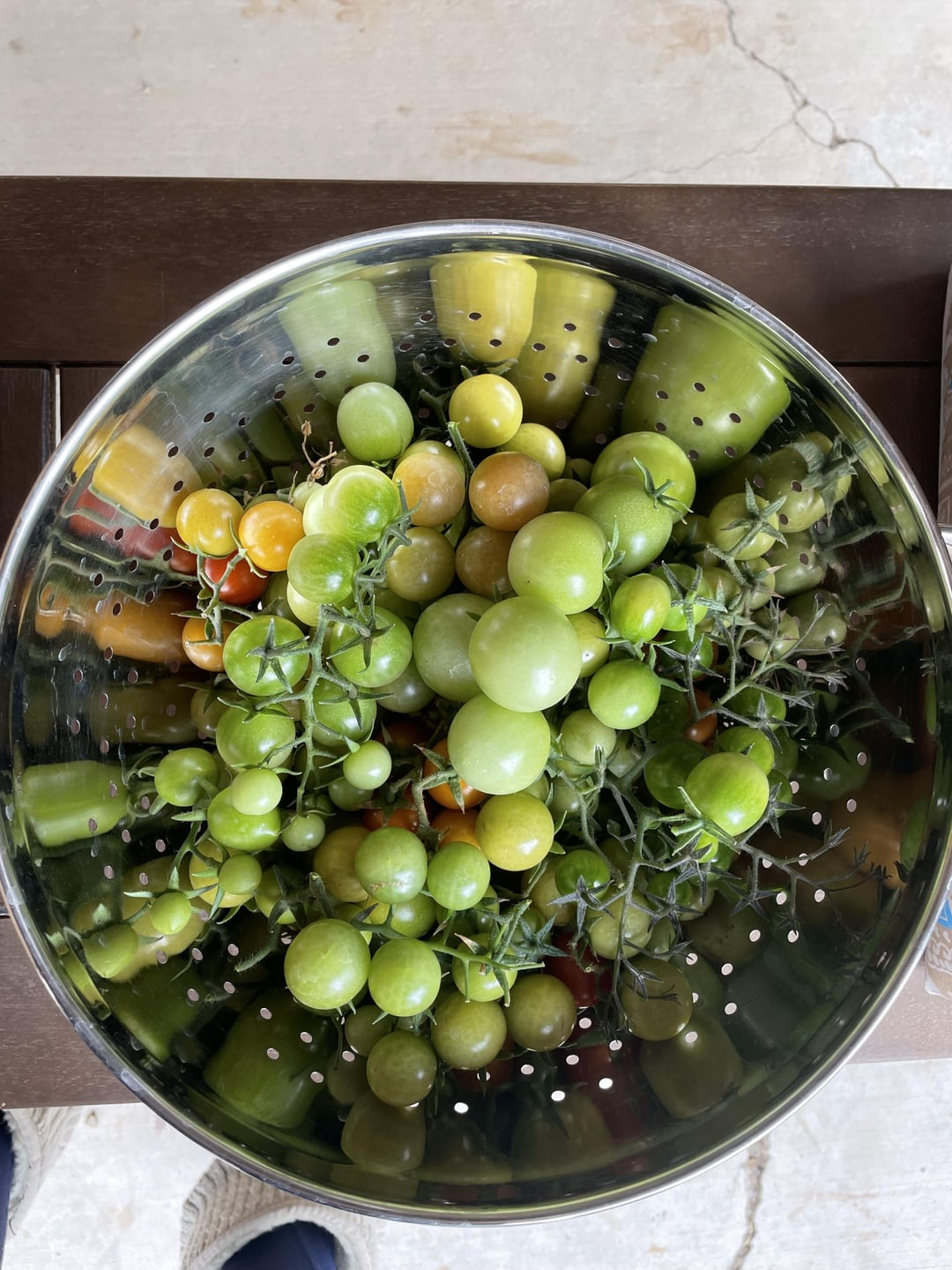 Had to pick the last of our peppers and tomatoes before the first hard