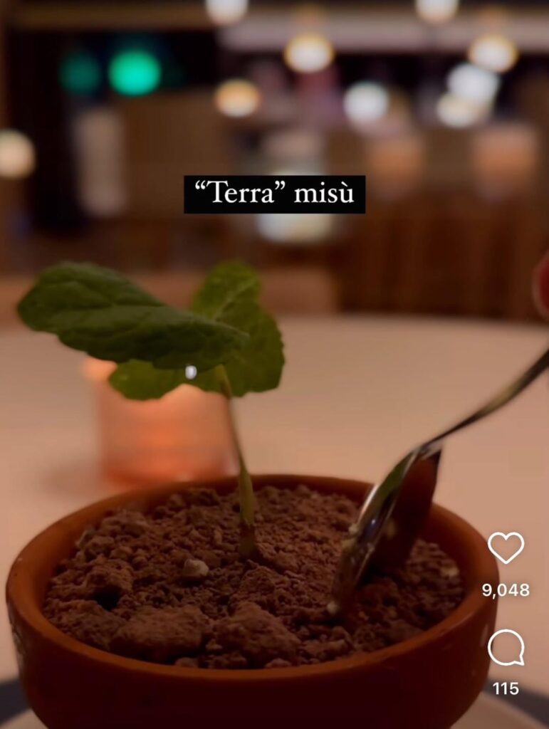Dirt for dessert? Nope just some of Terra’s Missu