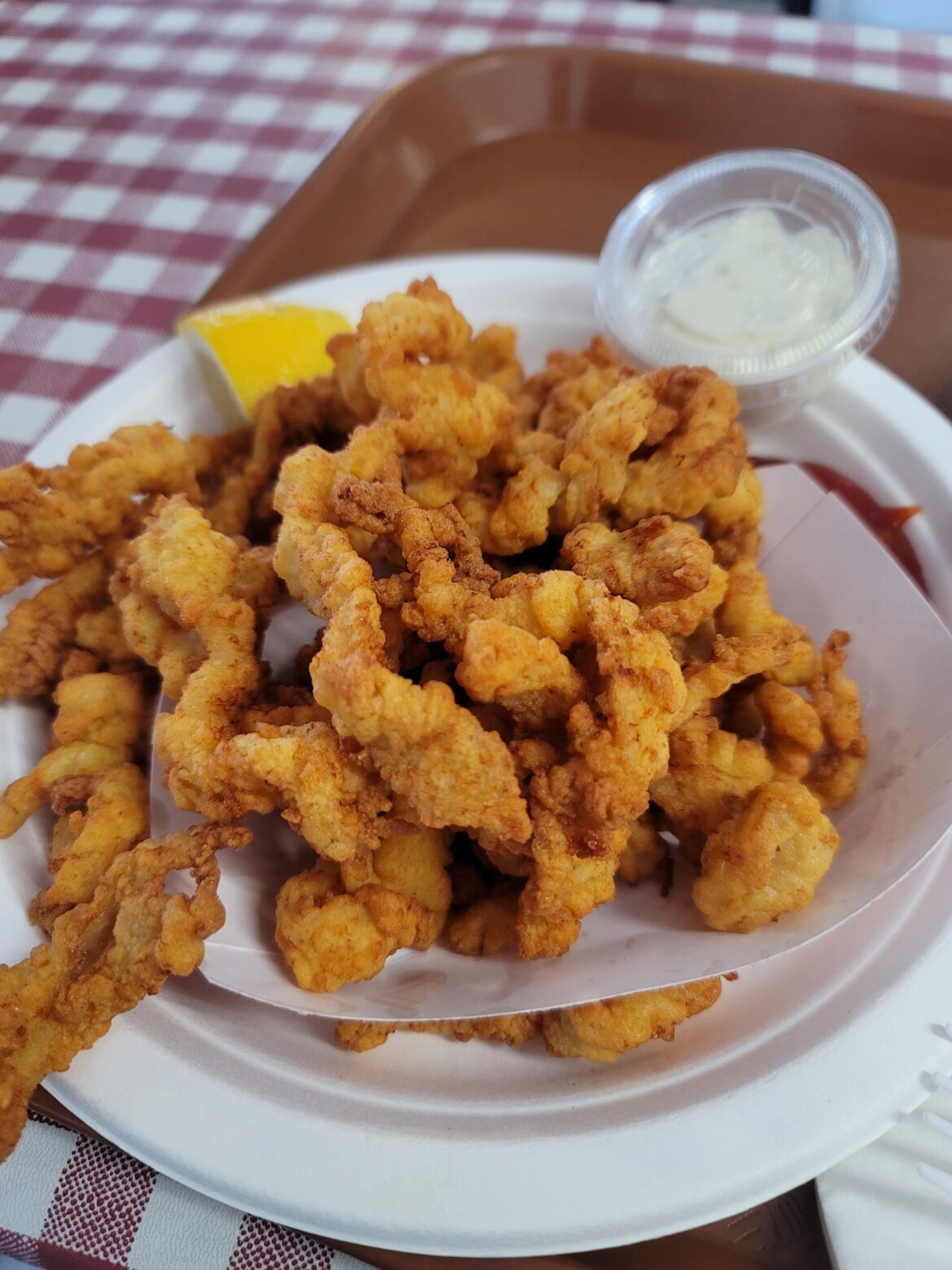The absolute best clam strips I've ever had. Cape Cod.