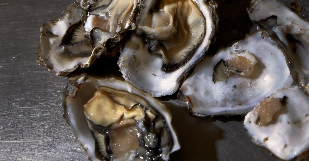 PSA: Do not eat oysters at Loreto in Frogtown.