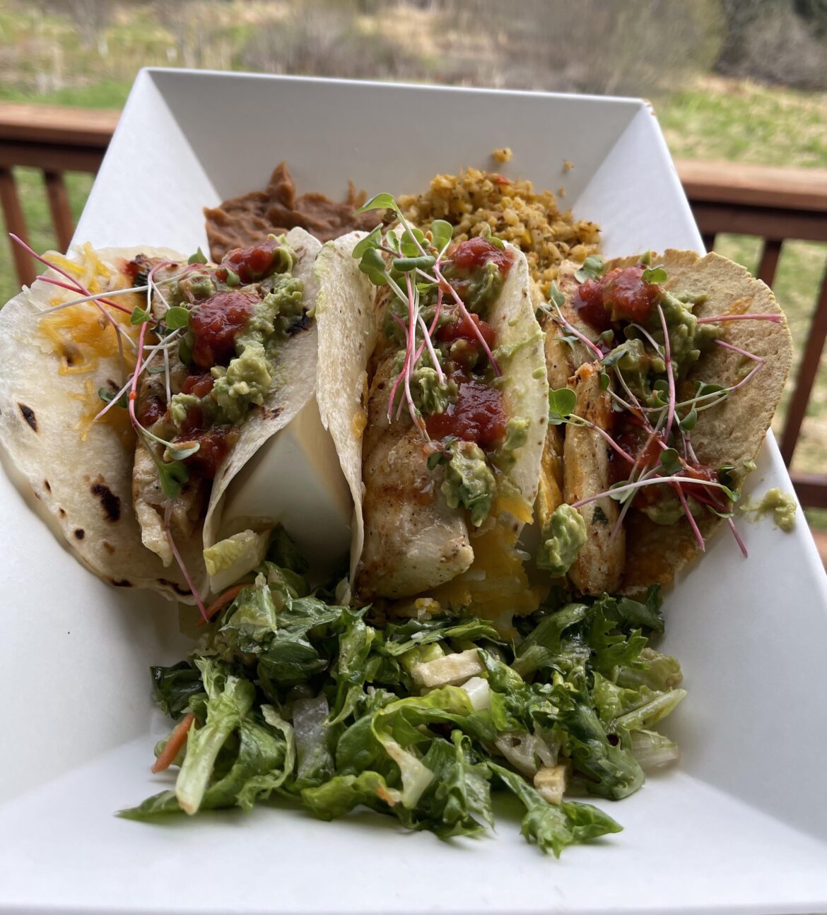 Biodegradable taco party plates anyone?