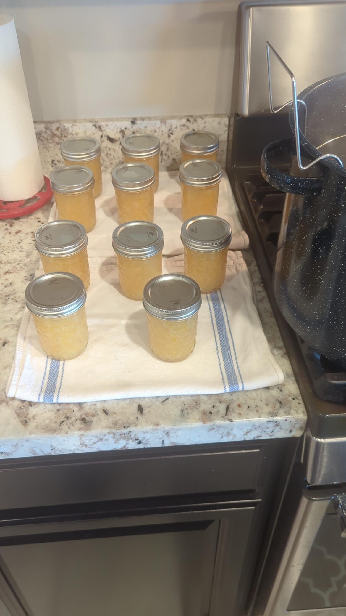 Meyer Lemon Marmalade