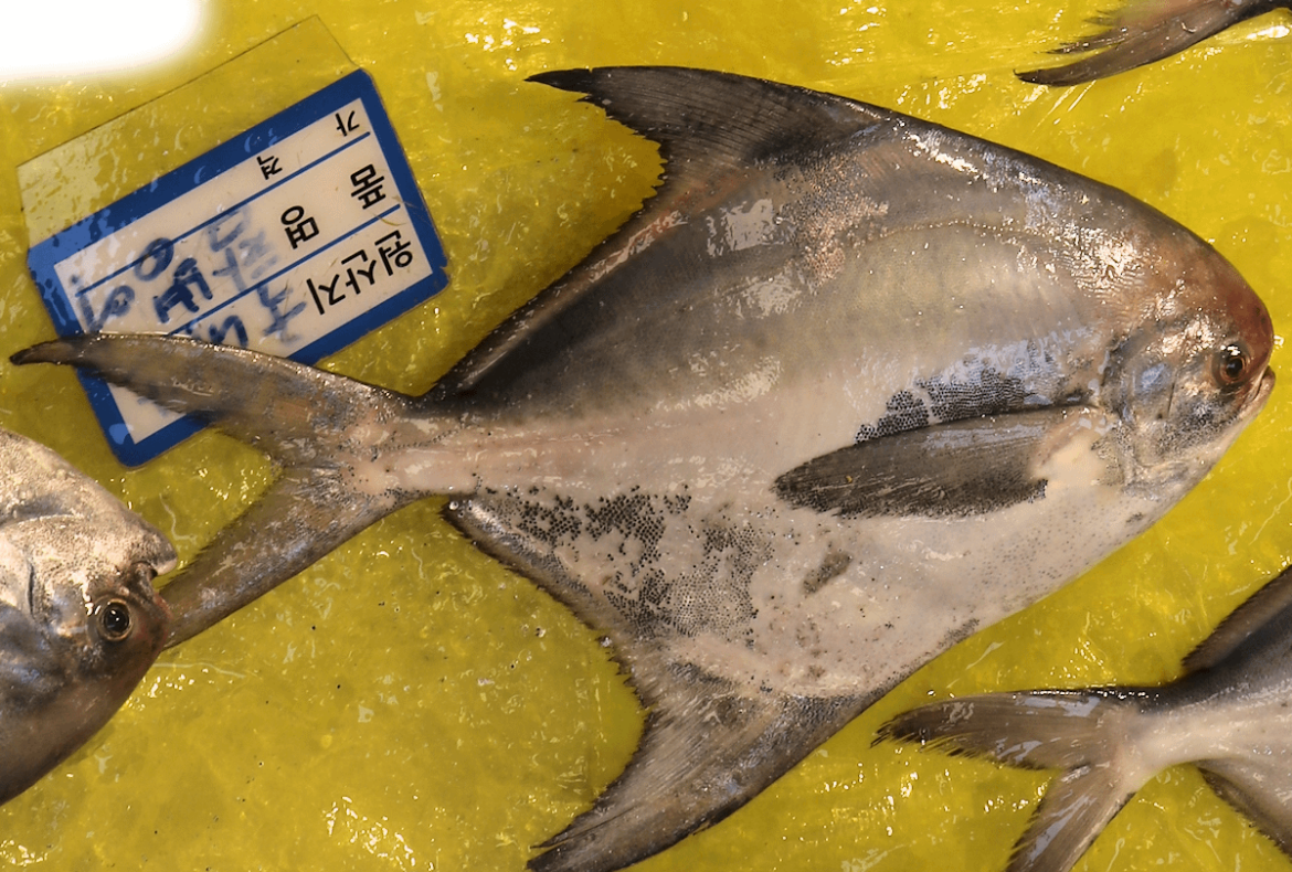 What fish species is this? Noryangjin Fish Market, Seoul.