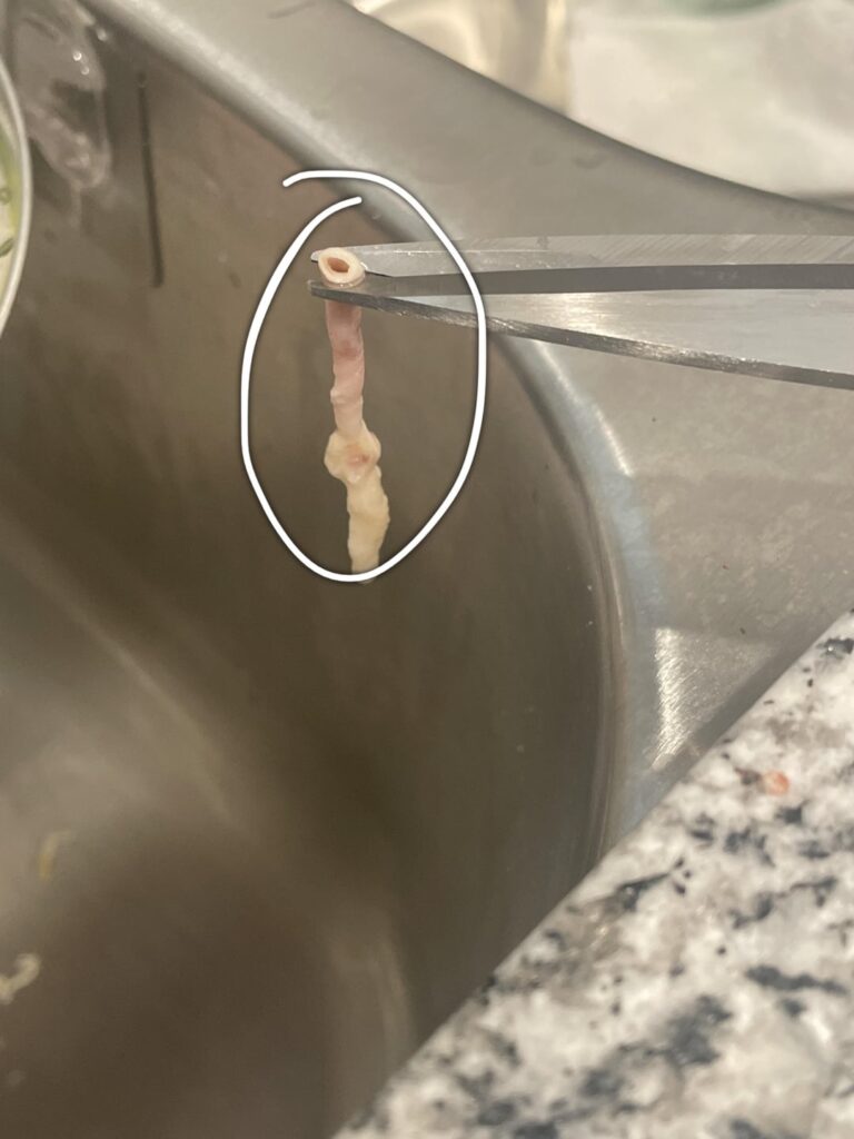 What could this possibly be in my package chicken strips?