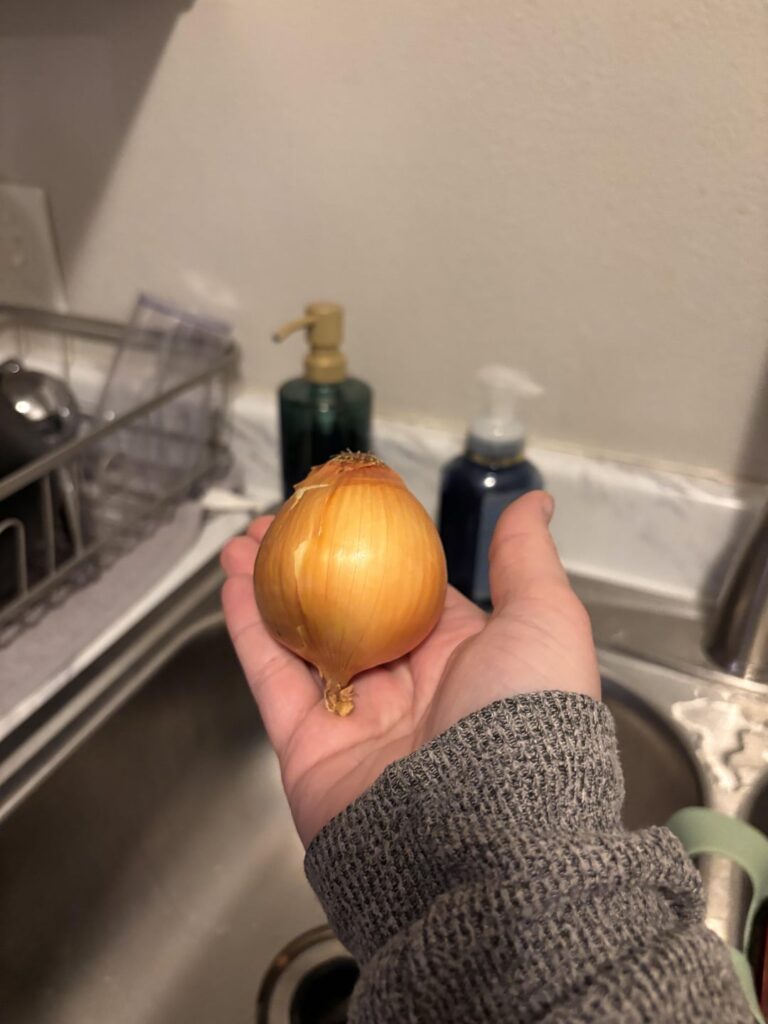 The onion I got in one of my meals vs a store bought one