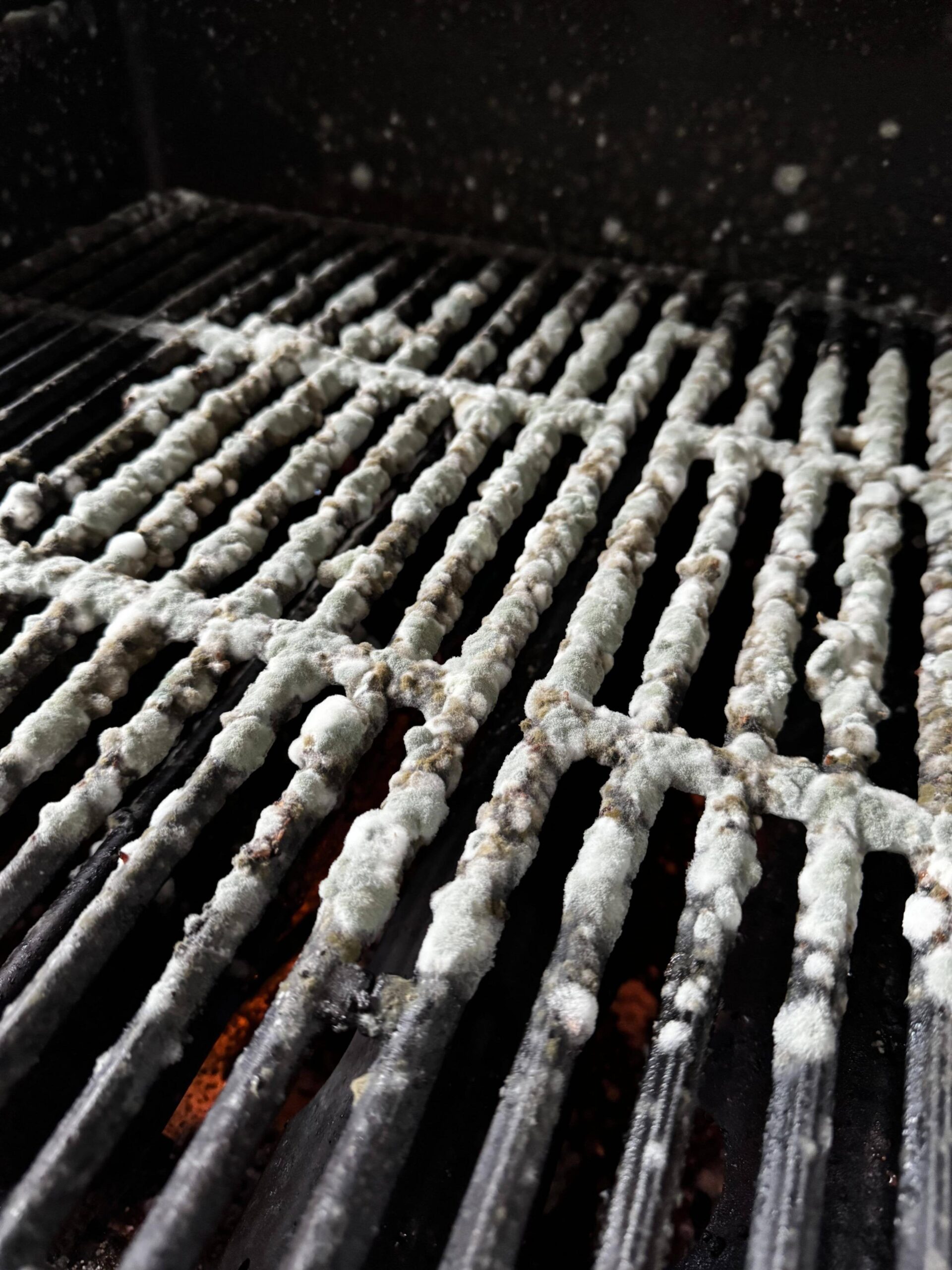 Seasoning my cast iron grates Dining and Cooking