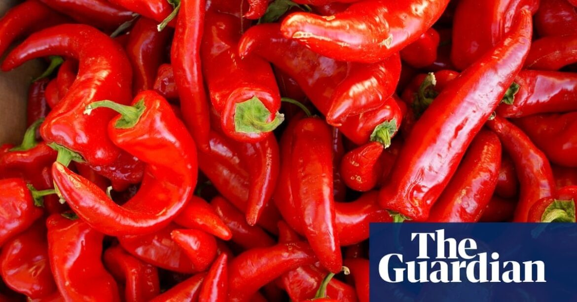 Chilli fumes cause UK market evacuation