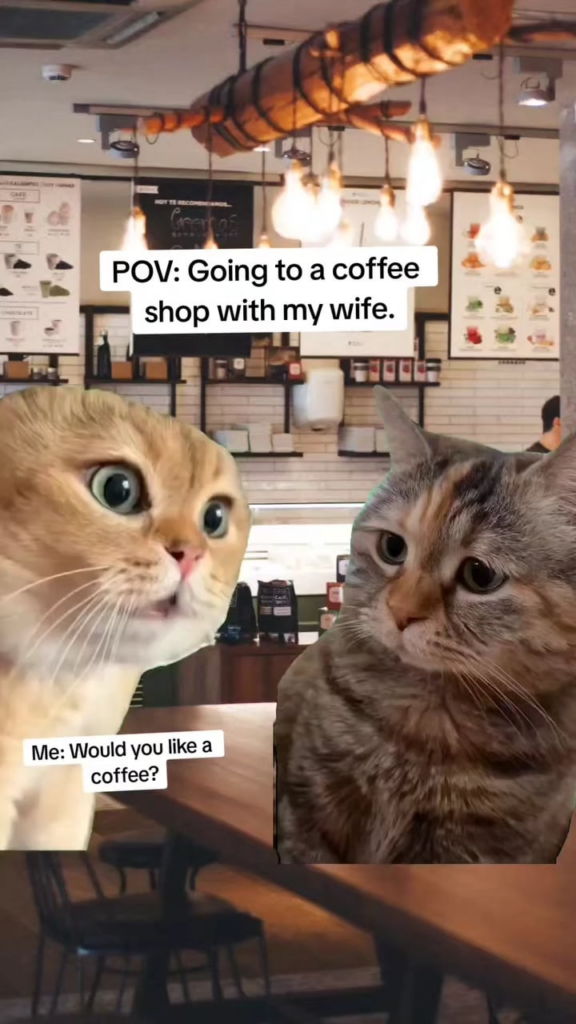 Are you SUUURE !! 😂