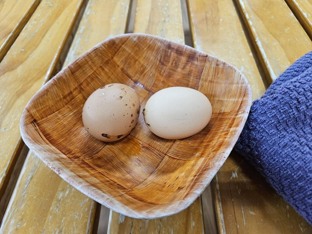 Sauna eggs