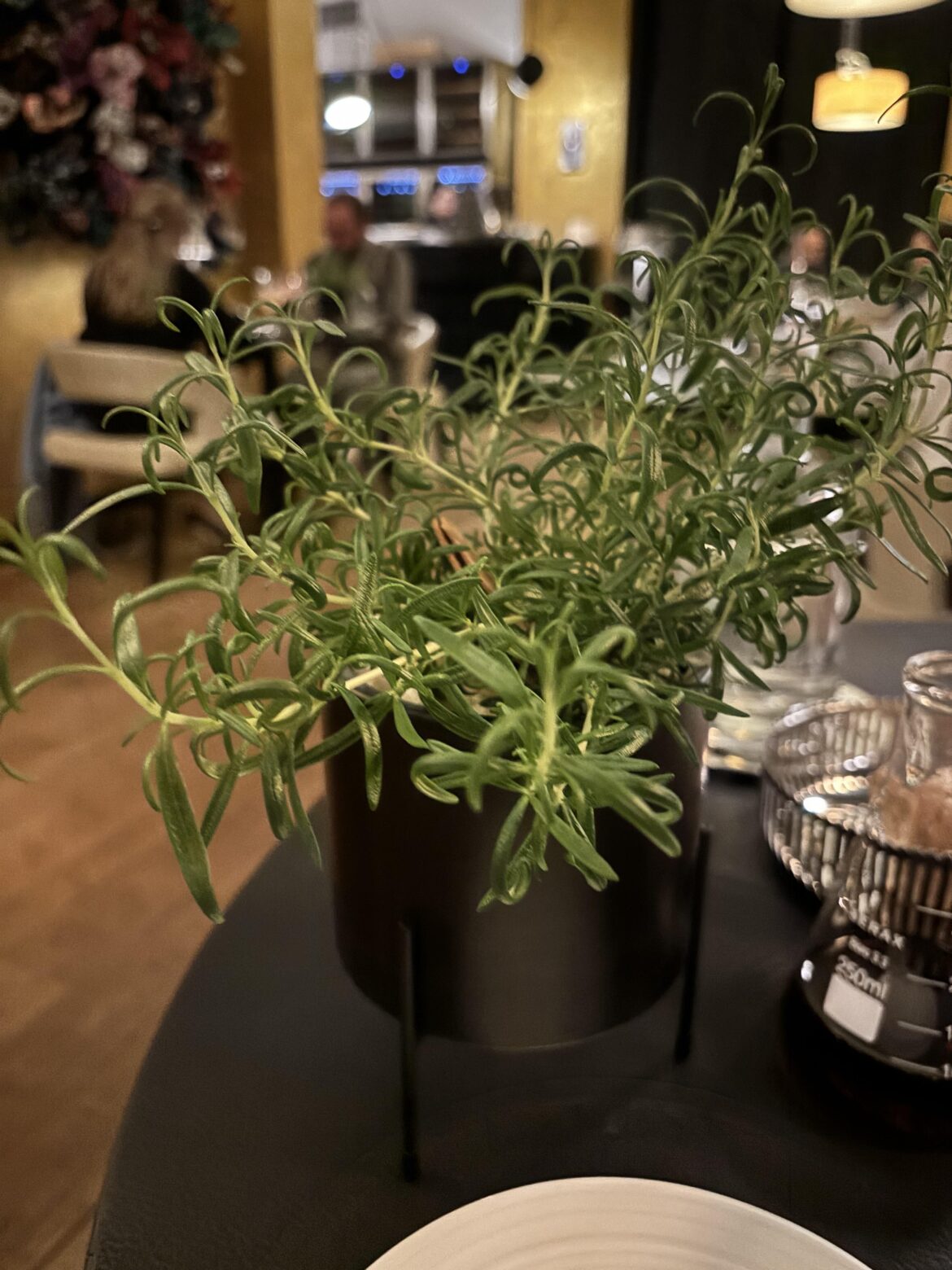 My amuse got served in a plant.